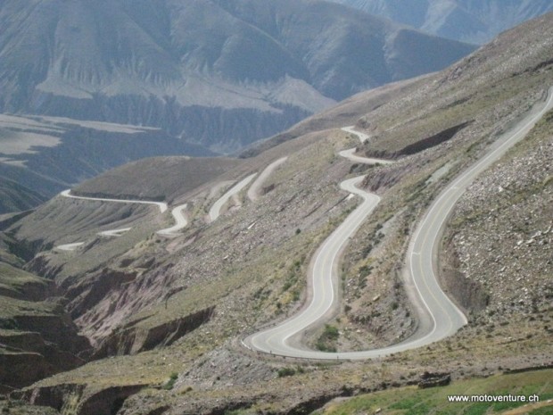 asphaltschlange
