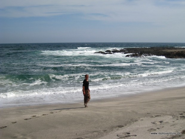Jacky am Strand