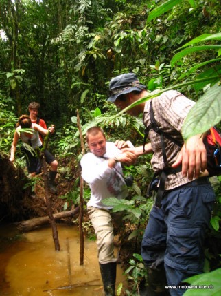 junglewalk