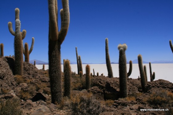 Salar de Uyuni