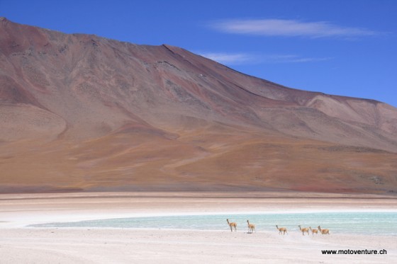 Laguna Verde Bolivien